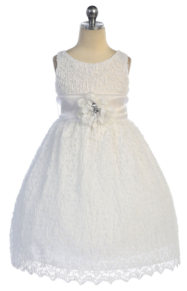 Elegant Soft Lace Dress